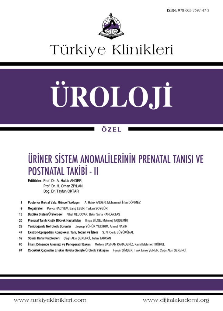 Bilge I, Taşdemir M. Prenatal Tanılı Kistik Böbrek Hastalıkları. Ander AH, Ziylan HO, Oktar T,editörler. Üriner Sistem Anomalilerinin Prenatal Tanısı ve Postnatal Takibi – II. 1. Baskı. Ankara: Türkiye Klinikleri; 2019. p.20-8